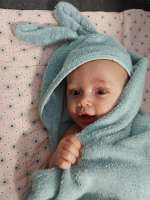 louis